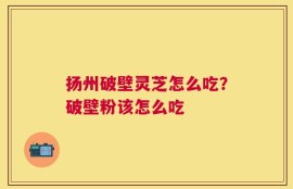 扬州破壁灵芝怎么吃？破壁粉该怎么吃