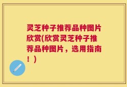 灵芝种子推荐品种图片欣赏(欣赏灵芝种子推荐品种图片，选用指南！)