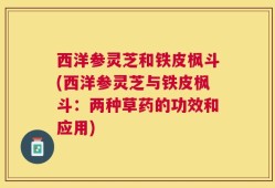 西洋参灵芝和铁皮枫斗(西洋参灵芝与铁皮枫斗：两种草药的功效和应用)