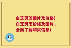 白芝灵芝图片及价格(白芝灵芝价格及图片，全面了解购买信息)