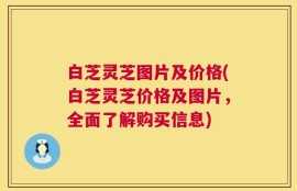 白芝灵芝图片及价格(白芝灵芝价格及图片，全面了解购买信息)