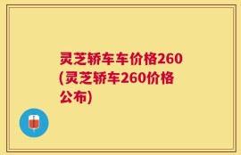 灵芝轿车车价格260(灵芝轿车260价格公布)