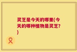 灵芝是今天的哪里(今天的哪种植物是灵芝？)
