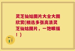 灵芝仙姑图片大全大图欣赏(精选多张高清灵芝仙姑图片，一饱眼福！)