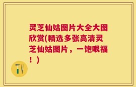灵芝仙姑图片大全大图欣赏(精选多张高清灵芝仙姑图片，一饱眼福！)