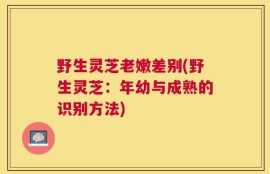 野生灵芝老嫩差别(野生灵芝：年幼与成熟的识别方法)