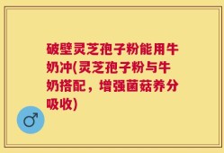 破壁灵芝孢子粉能用牛奶冲(灵芝孢子粉与牛奶搭配，增强菌菇养分吸收)