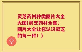 灵芝药材种类图片大全大图(灵芝药材全集：图片大全让你认识灵芝的每一种！)