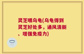 灵芝喂乌龟(乌龟得到灵芝好处多，通风清新、增强免疫力)