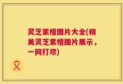 灵芝紫檀图片大全(精美灵芝紫檀图片展示，一网打尽)