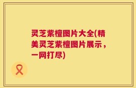 灵芝紫檀图片大全(精美灵芝紫檀图片展示，一网打尽)