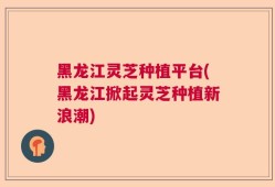 黑龙江灵芝种植平台(黑龙江掀起灵芝种植新浪潮)
