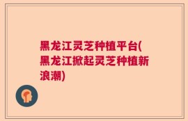 黑龙江灵芝种植平台(黑龙江掀起灵芝种植新浪潮)