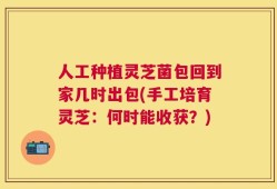 人工种植灵芝菌包回到家几时出包(手工培育灵芝：何时能收获？)