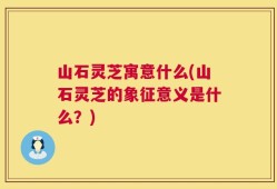 山石灵芝寓意什么(山石灵芝的象征意义是什么？)