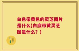 白色带黄色的灵芝图片是什么(白底带黄灵芝图是什么？)