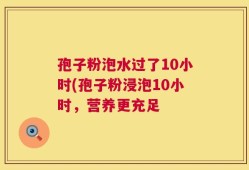 孢子粉泡水过了10小时(孢子粉浸泡10小时，营养更充足