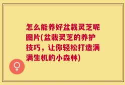 怎么能养好盆栽灵芝呢图片(盆栽灵芝的养护技巧，让你轻松打造满满生机的小森林)