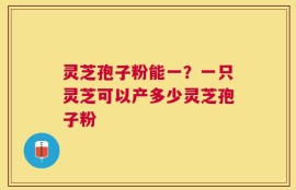 灵芝孢子粉能一？一只灵芝可以产多少灵芝孢子粉