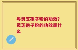 粤灵芝孢子粉的功效？灵芝孢子粉的功效是什么