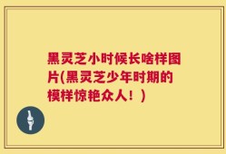 黑灵芝小时候长啥样图片(黑灵芝少年时期的模样惊艳众人！)