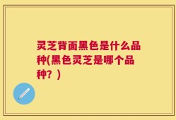 灵芝背面黑色是什么品种(黑色灵芝是哪个品种？)