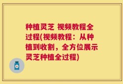 种植灵芝 视频教程全过程(视频教程：从种植到收割，全方位展示灵芝种植全过程)