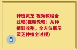 种植灵芝 视频教程全过程(视频教程：从种植到收割，全方位展示灵芝种植全过程)