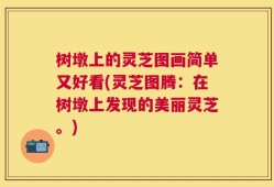 树墩上的灵芝图画简单又好看(灵芝图腾：在树墩上发现的美丽灵芝。)
