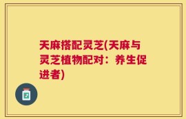 天麻搭配灵芝(天麻与灵芝植物配对：养生促进者)