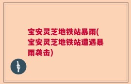 宝安灵芝地铁站暴雨(宝安灵芝地铁站遭遇暴雨袭击)