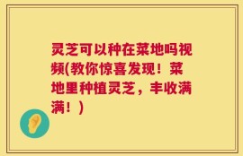 灵芝可以种在菜地吗视频(教你惊喜发现！菜地里种植灵芝，丰收满满！)