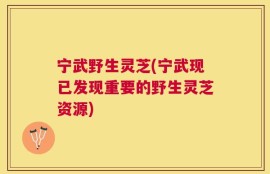 宁武野生灵芝(宁武现已发现重要的野生灵芝资源)