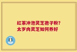 红茶冲泡灵芝孢子粉？太岁肉灵芝如何养好