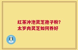 红茶冲泡灵芝孢子粉？太岁肉灵芝如何养好