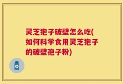 灵芝狍子破壁怎么吃(如何科学食用灵芝狍子的破壁孢子粉)