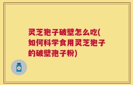 灵芝狍子破壁怎么吃(如何科学食用灵芝狍子的破壁孢子粉)