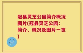 冠县灵芝公园简介概况图片(冠县灵芝公园：简介、概况及图片一览)