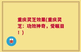 重庆灵芝效果(重庆灵芝：功效神奇，受瞩目！)