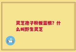 灵芝孢子粉板蓝根？什么叫野生灵芝