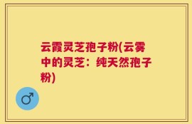 云霞灵芝孢子粉(云雾中的灵芝：纯天然孢子粉)