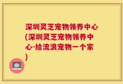 深圳灵芝宠物领养中心(深圳灵芝宠物领养中心-给流浪宠物一个家)