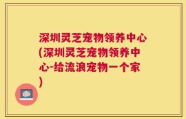 深圳灵芝宠物领养中心(深圳灵芝宠物领养中心-给流浪宠物一个家)