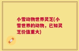 小雪动物世界灵芝(小雪世界的动物，已知灵芝价值重大)