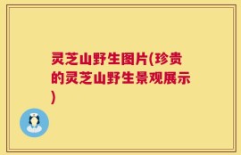 灵芝山野生图片(珍贵的灵芝山野生景观展示)
