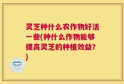 灵芝种什么农作物好活一些(种什么作物能够提高灵芝的种植效益？)