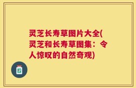 灵芝长寿草图片大全(灵芝和长寿草图集：令人惊叹的自然奇观)