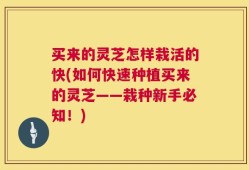买来的灵芝怎样栽活的快(如何快速种植买来的灵芝——栽种新手必知！)