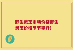 野生灵芝市场价格野生灵芝价格节节攀升)