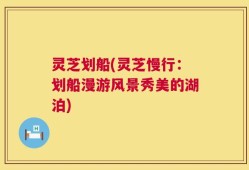 灵芝划船(灵芝慢行：划船漫游风景秀美的湖泊)